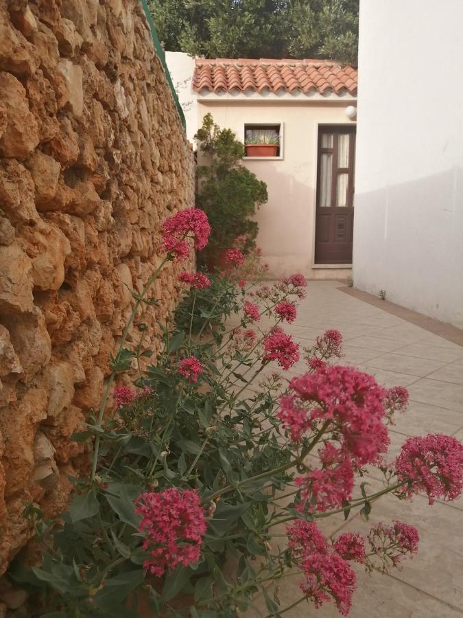 Apartments Borovina Bol Luaran gambar